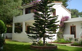 Paraschos Studios